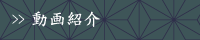 動画紹介
